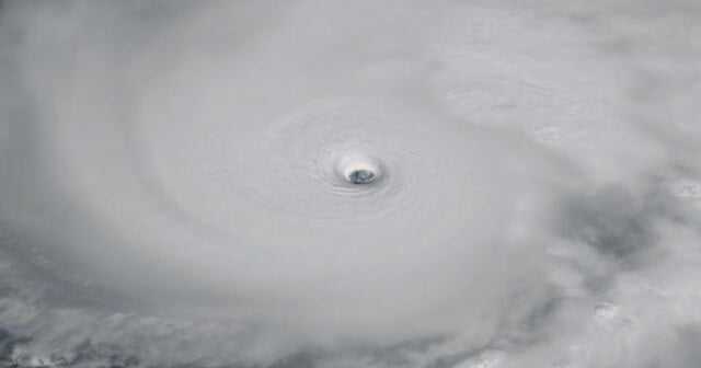 10/28: The Daily Report