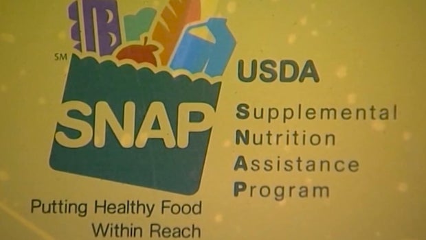 Multiple US States Declare Emergencies to Fund Food Aid Amid SNAP Funding Expiry
