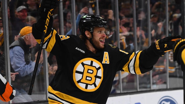 David Pastrnak Boston Bruins