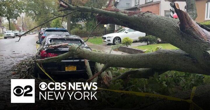 Storm topples large trees in sections of Queens - CBS New York