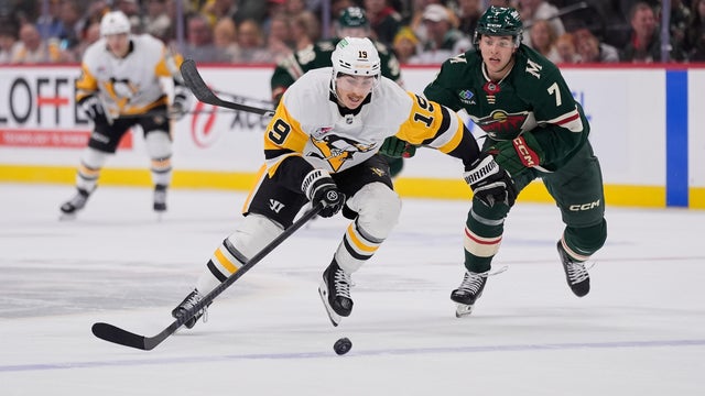 Penguins Wild Hockey