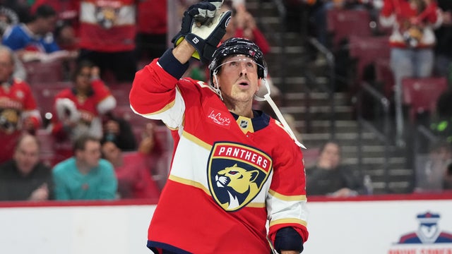 Stars Panthers Hockey 