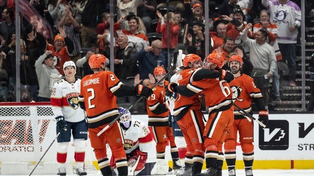 Panthers Ducks Hockey 