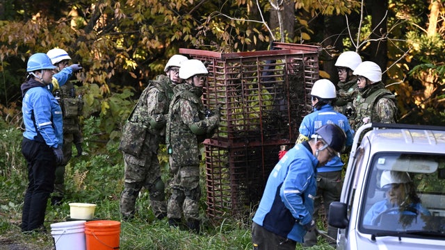 Members of Japan Self-Defense Forces (JSDF) set up a bear trap in Kazuno 