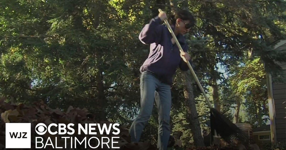 How to safely rake leaves and avoid injury during the fall - CBS Baltimore