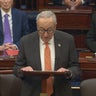 schumer-3.jpg 