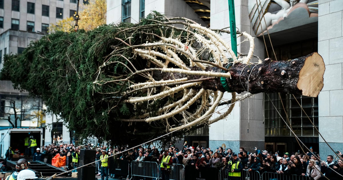 Rockefeller Center Christmas tree arrives in NYC to usher in holidays
