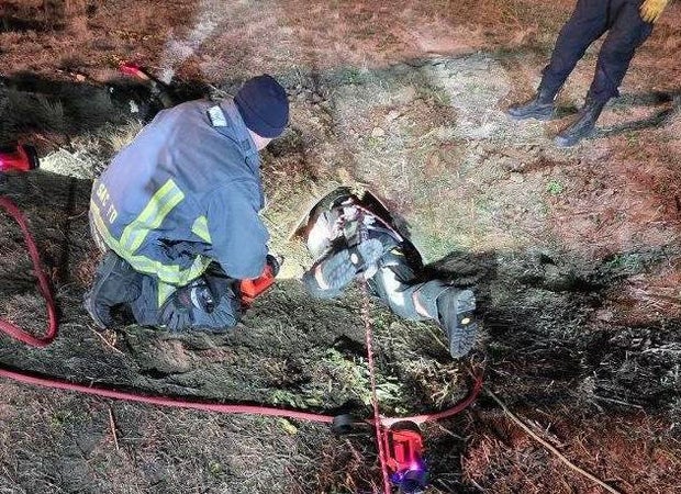 firefighter-crawls-into-culvert-to-rescue-dog.jpg 