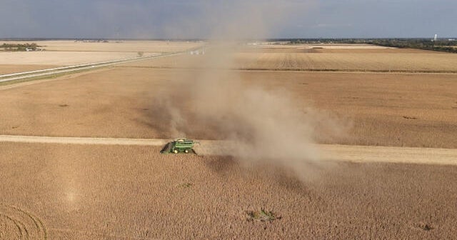 11/9/2025: The Family Farm; Collateral Damage; The Indomitable Margaret Atwood