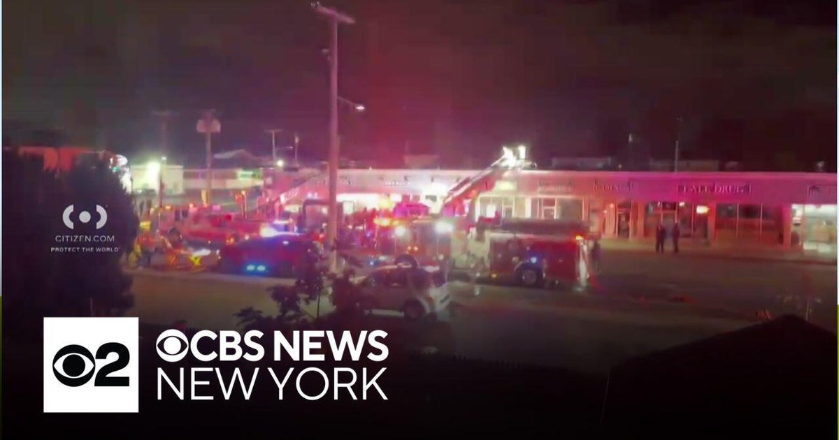 20 animals killed in barbershop fire on Long Island - CBS New York
