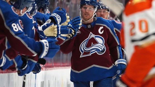 Ducks Avalanche Hockey 