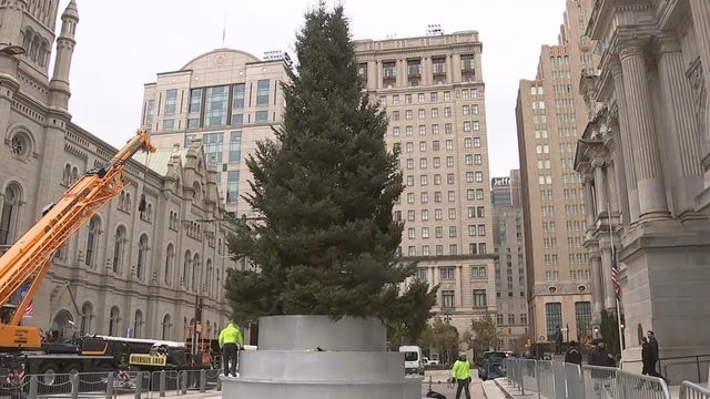 The holiday tree is dropped off at City Hall in Philadelphia 