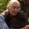 How motherhood changed Jane Goodall | 60 Minute Archive
