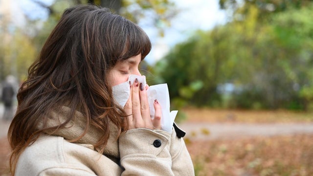 Cold season in Germany 