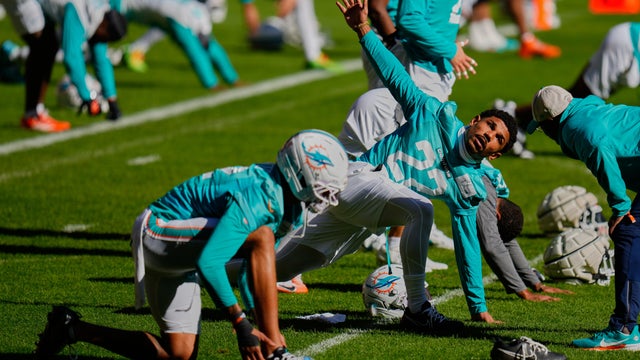 Dolphins Football 