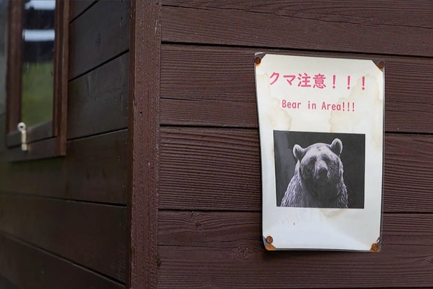 JAPAN-BEAR-ENVIRONMENT-CLIMATE-DEMOGRAPHICS 