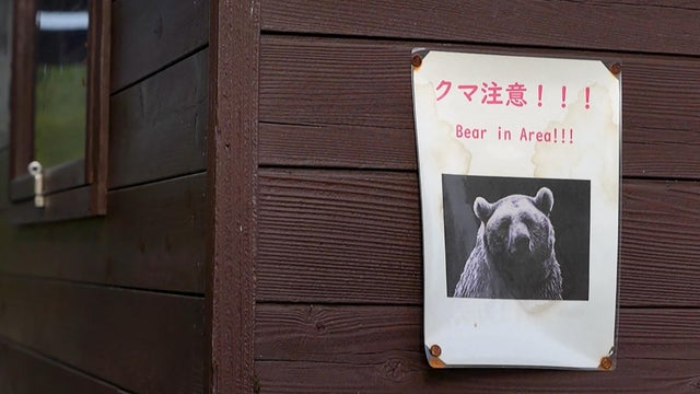 JAPAN-BEAR-ENVIRONMENT-CLIMATE-DEMOGRAPHICS 