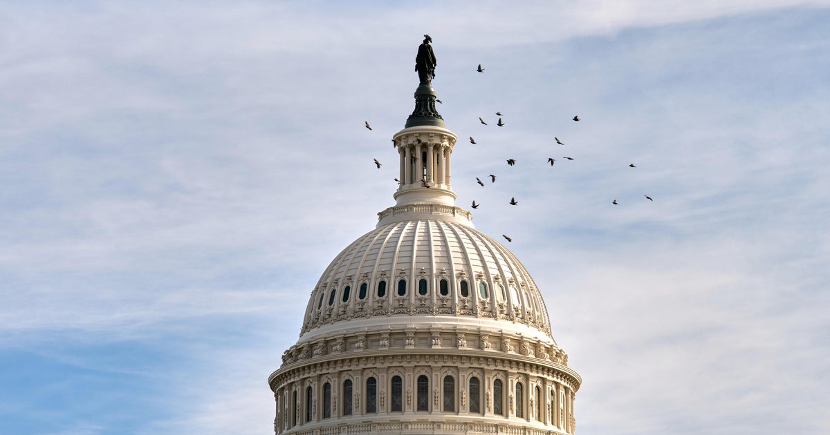 Home Republican leaders aiming to carry Tuesday vote on forcing launch of Epstein information, sources say