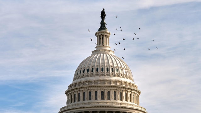 Birds fly around the Capitol dome, Tuesday, Nov. 4, 2025, in Washington. 