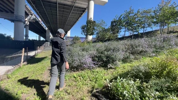 Kosciuszko Bridge nursery 