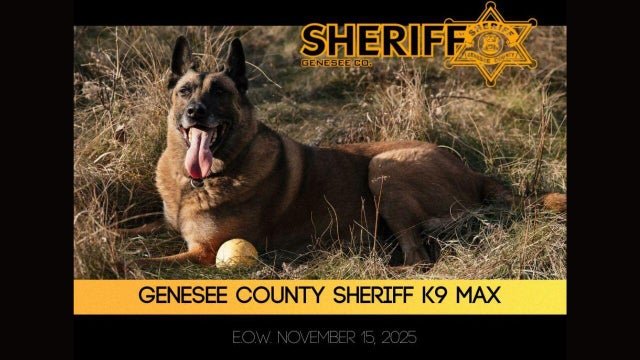 genesee-k9-slider.jpg 