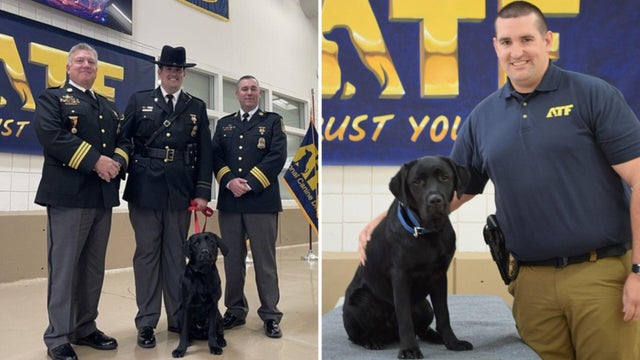 Maryland Fire Marshal Accelerant Detection K9 