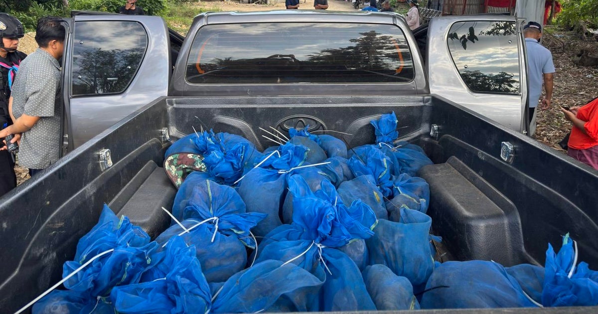 81 monkeys, meth found in car linked to wildlife smuggling network