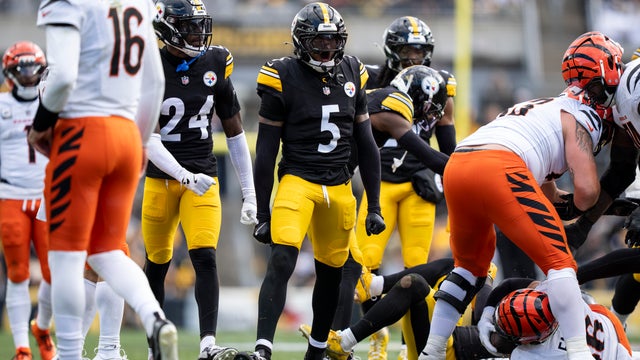 Cincinnati Bengals v Pittsburgh Steelers - NFL 2025 