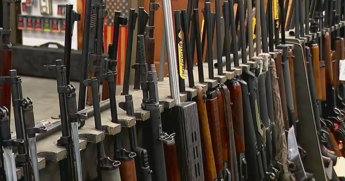 Bill to lower age for buying long guns heads to Florida House committee