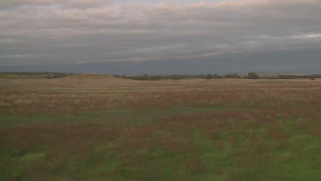 eastern sacramento county grassland 