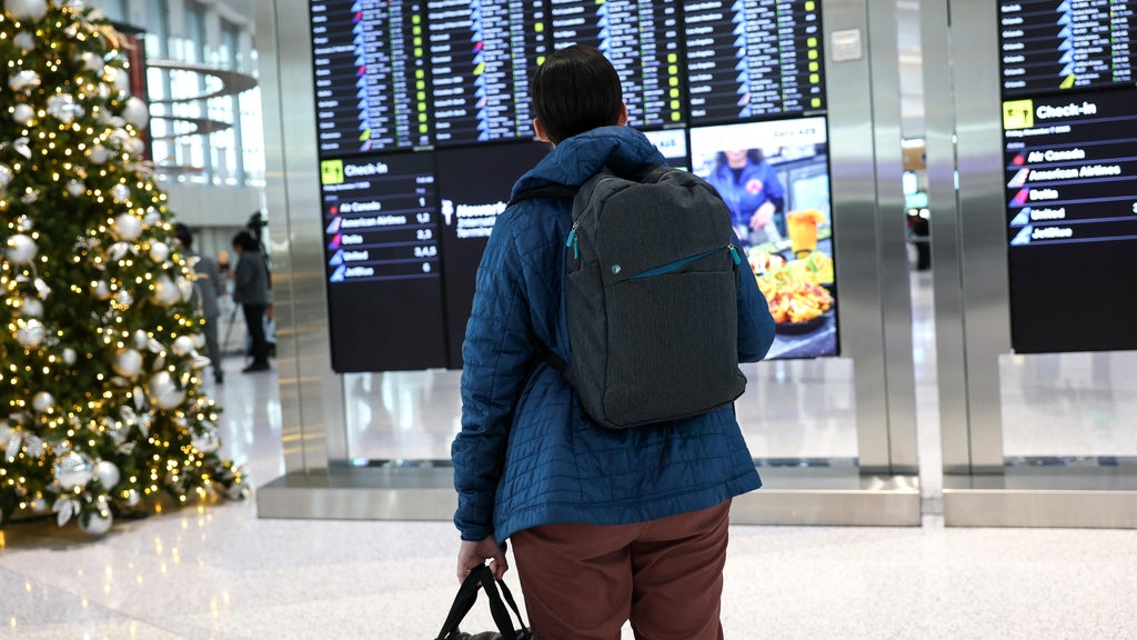 Are NYC airports ready for the Thanksgiving travel rush? Here's what an expert says to expect this year.