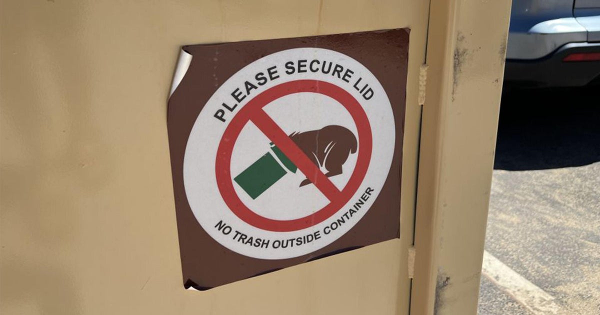 2 Tahoe residents hurt by hungry bear who got into their home