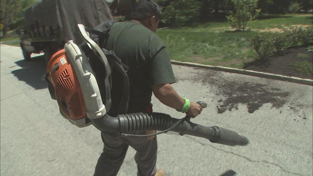 A person uses a leaf blower 