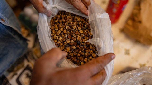 A Coffee Harvest As Trump Tariffs Threaten US Consumption Outlook 