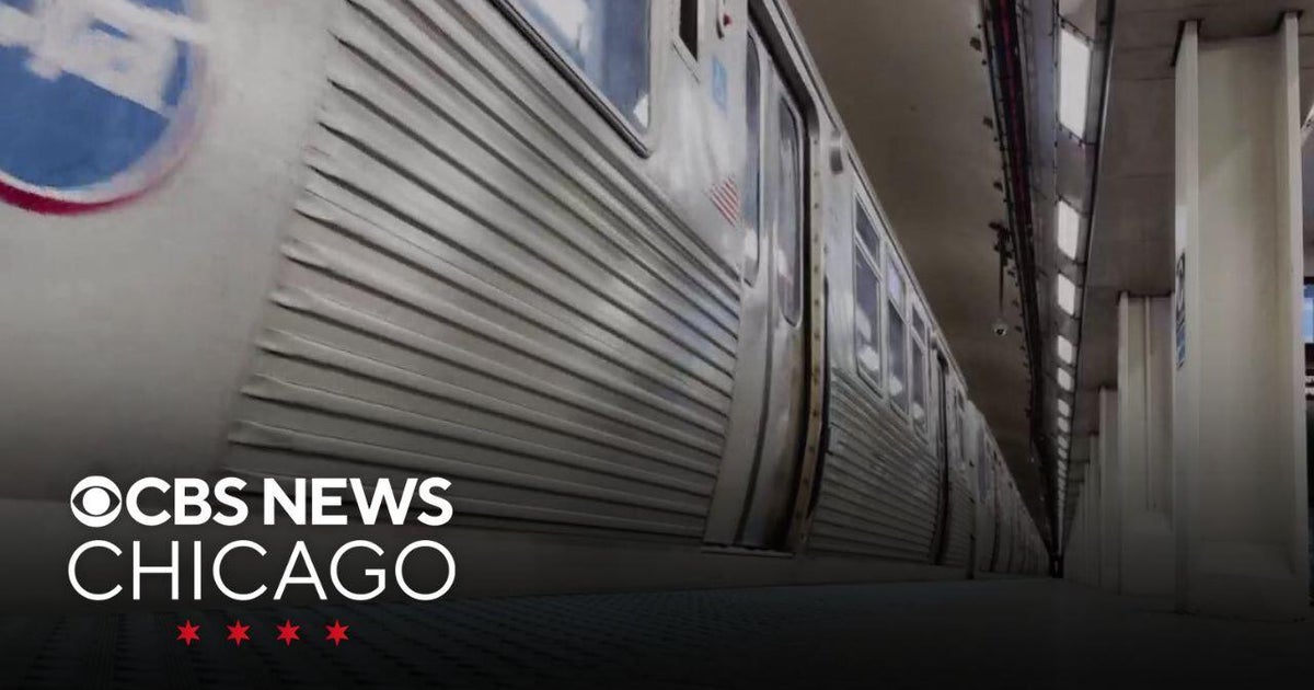 Man charged with setting woman on fire on Blue Line due back in court ...