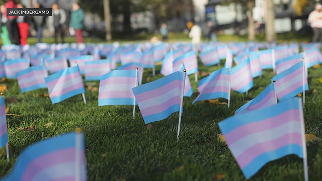 Trans Pride flags 