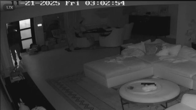 Police lights generic 