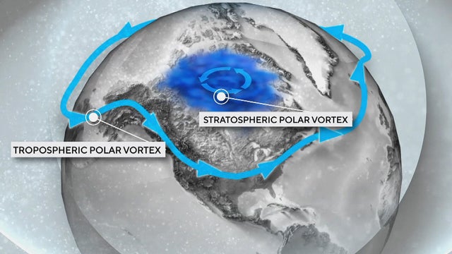 Polar vortex 