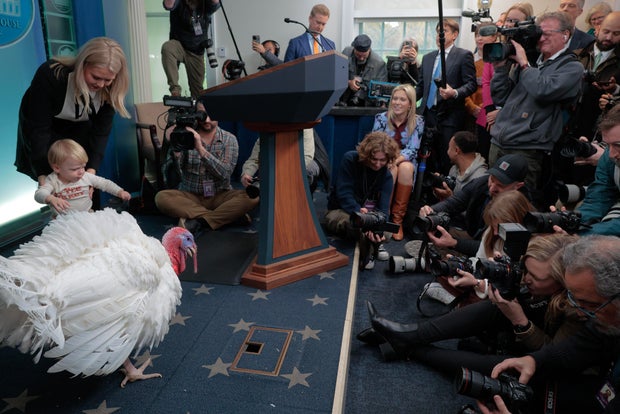 President Trump And First Lady Melania Trump Pardon National Thanksgiving Turkeys 