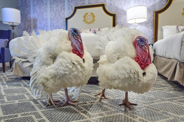 APTOPIX Trump Turkey Pardon 