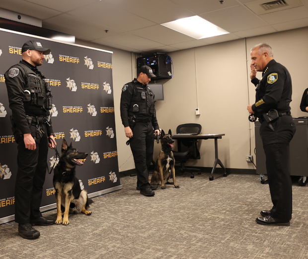 k9s-being-sworn-in-by-sheriff.png 