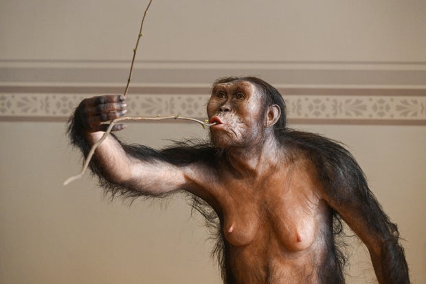 CZECH-ETHIOPIA-SCIENCE-HISTORY-LUCY