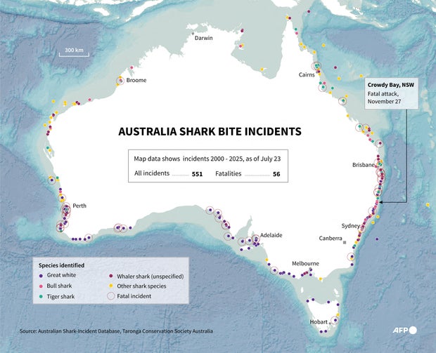 AUSTRALIA-SHARKS-CLIMATE-ANIMAL-SHARK ATTACK 