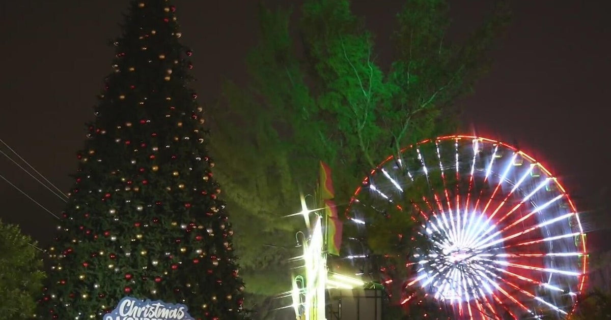 South Florida shines bright with fresh holiday attractions and festive fun