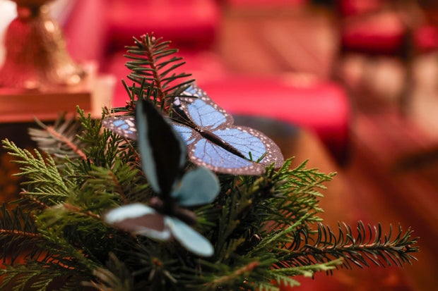 First Lady Melania Trump Unveils White House's 2025 Christmas Decorations