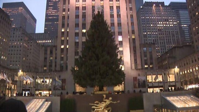 rockefeller-center-tree-2025-720.jpg 