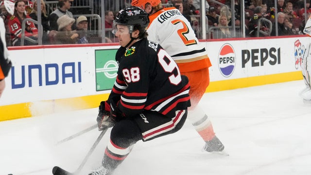 Ducks Blackhawks Hockey 