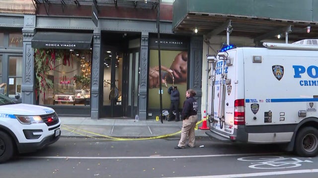 soho-robbery-5p-vo-wcbsfy4o-hi-res-still-00-00-2705.jpg 