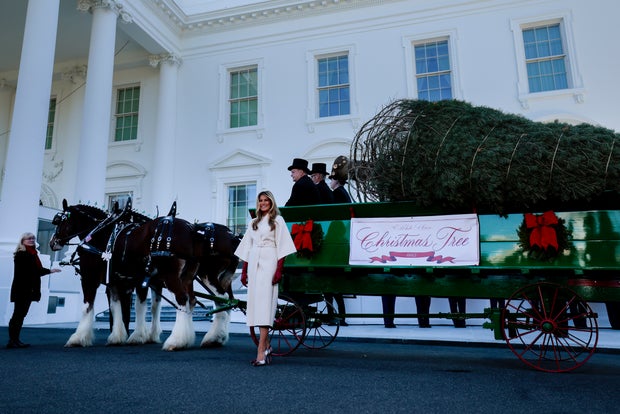 First Lady Melania Trump Welcomes The White House Christmas Tree