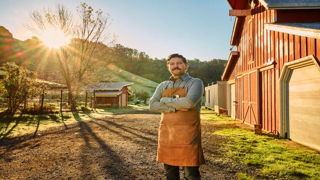 Xero's Role in Supercharging Small Business Growth